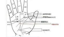 财运线多少条?人见人爱的财运线