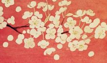 生肖属虎女2020年10月份生鼠宝宝好吗，有福气吗