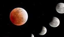 明日开始运势大火，咸鱼翻身，鱼跃龙门，大发横财的四个生肖