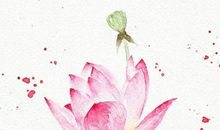 生肖属鸡的哪几个月出生最好，十二月运势当红不让