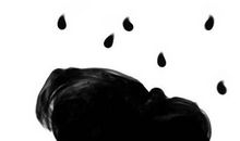 2020年生肖属兔的幸运颜色和幸福数字