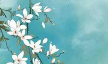 生肖属虎的妈妈和什么生肖属相的孩子是六合，虎和猪六合