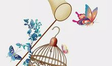 生肖属猪女2020年12月份生鼠宝宝好吗，相冲相合？