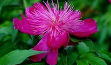 苦日子结束，贵人进门的生肖，11月底事业旺，财运来，大赚大发