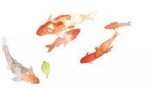 生肖属虎女2020年7月份生鼠宝宝好吗，会相合吗