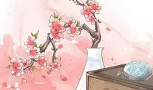 生肖属虎女2020年6月份生鼠宝宝好吗，会相合吗