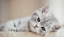 12星座心情“黑暗”时间段