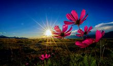 恭喜！7天后财喜进门，3大生肖事业勇攀巅峰，美梦有望实现