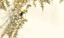 生肖属马女2020年8月份生宝宝好不好，有福气吗