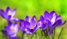 送走霉运迎好运，3月喜事入宅，财路大开，金库充盈的3大生肖