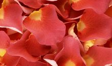 恭喜3大生肖！1月下旬财运，桃花运皆旺，钱财爱情与日俱增！