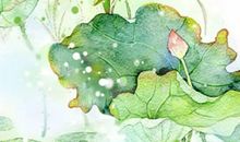 生肖属马的哪几个月出生最好，五月马真逍遥