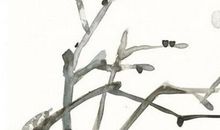 2020年2月27号二月初五出生的女孩是什么命，如何起名字吉祥