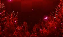 青衣12星座一周运势（1.6-1.12）