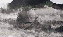 2020年生肖属牛的幸运颜色和幸福数字