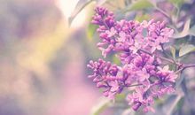 2020年时来运转，财源滚滚、赚钱无忧，全家发财的四大生肖