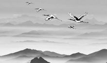 大年初二出生的宝宝命运怎么样，名字宜用字推荐