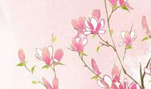 生肖属马的爸爸和什么生肖属相的孩子是六合，午马和未羊六合