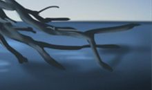 老鼠怕什么，不喜欢什么