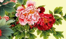 1月开始财气逼人，喜上加喜，事业步步高升的四生肖