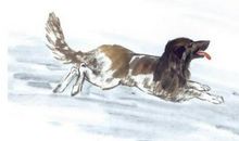 夫妻中有这生肖，夫妻能够同富贵，必有儿有女，财富堆积像小山！