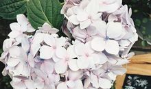 说说12星座婚姻关系的杀手