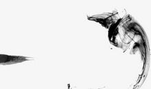 生肖属鸡妈妈和生肖属狗爸爸适合生什么生肖的宝宝