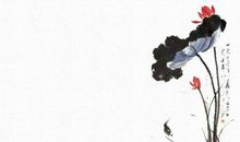 生肖属鸡妈妈和生肖属猪爸爸适合生什么生肖的宝宝