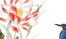 生肖属狗的哪几个月出生最好，五月出生一年中最旺