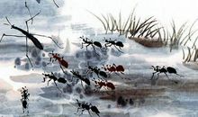 2020鼠年3月份生肖属鸡人能遇上贵人吗，运势如何