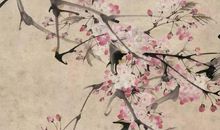 农历2020年腊月十二月十五出生的男孩怎么起名字，高分名字推荐