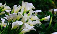 无论面对谁都能被对方欣赏的三大星座