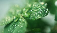 属虎的人2020年5月运势怎么样