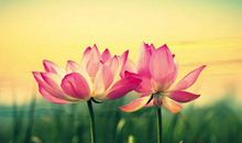 4号开始贵人登门，福气围绕，富贵发达的四生肖