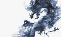 生肖属狗妈妈和生肖属狗爸爸适合生什么生肖的宝宝