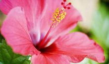 3月16号喜事临门、运势大有起色，3生肖喜事成双，桃花不请自来