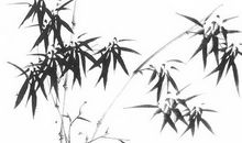 2020年7月29号出生的男孩怎么起名字，五行属什么