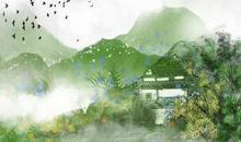 生肖属虎男和生肖属猪女2020年适合要小孩吗，相合？