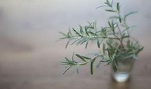 哪些星座最难被人读懂呢