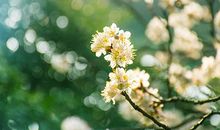 属蛇的人2020年5月运势怎么样