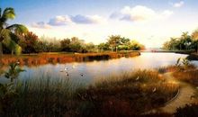 11月将会光宗耀祖，大富大贵，财大气粗的4个生肖