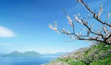 天蝎座女生和什么星座最配，和傻白甜的水瓶座才子佳人