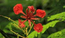 下周福气增长，求财得财，大小事顺利无阻，生活一片大好的3生肖