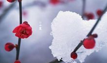 2019年腊月十二小寒属虎人忌搬家入宅吗 与日子相冲吗？(图文)