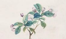 2020庚子年农历八月初四出生的女孩结合古诗词取名字