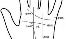 手相图解大全男，生命线长深、红润，意味生命力强