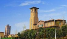 属兔住几层楼最好吉利 属兔买房风水注意事项有哪些