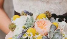 2020年10月,11月和12月生肖属虎和生肖属兔最佳结婚吉日