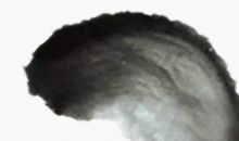 2020年11月出生的宝宝五行属什么,五行属土名字推荐