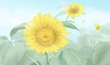 灶口对大门会不会是好风水呢 招惹小人